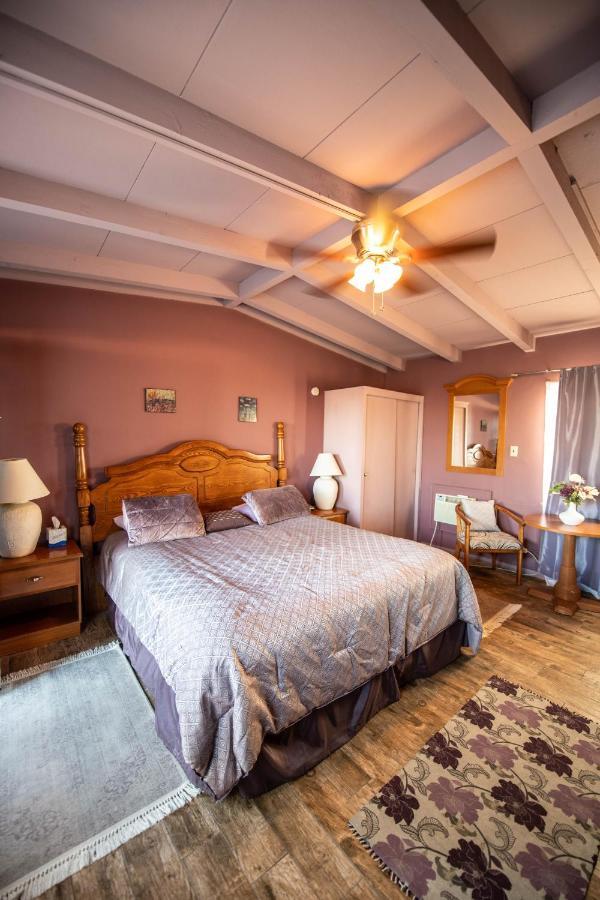 Harmony Motel Twentynine Palms Buitenkant foto